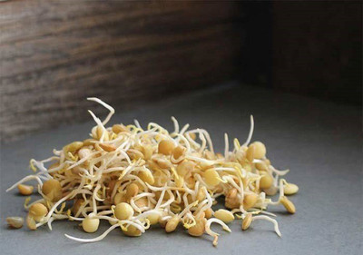 CYBEXIS GREEN LENTIL800 Seeds Seed(800 per packet)
