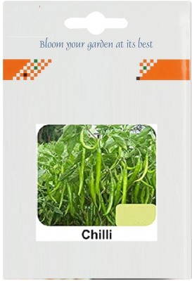 CYBEXIS Green Chilli2400 Seeds Seed(2400 per packet)