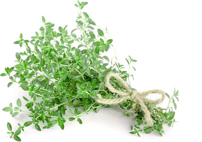 Qualtivate RES-6A Herbs Thyme Common Heirloom Seed(50 per packet)