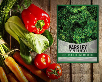 CYBEXIS XLR-6 - Parsley - Curled Forest Green - (750 Seeds) Seed(750 per packet)