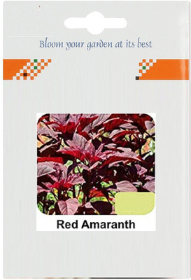 CYBEXIS Red Amaranth/Red Spinach700 Seeds Seed(700 per packet)