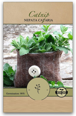 CYBEXIS XLR-6 - Nepeta Cataria Catmint - (4500 Seeds) Seed(4500 per packet)