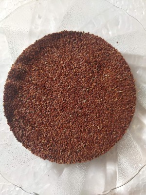 Hench Lajwanti Seed(500 g)