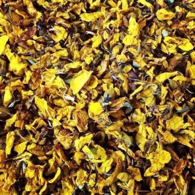 ANDARISTORE Avarampoo / Senna Auriculata / Tamgedu Dried Flowers 50g Seed(10 per packet)