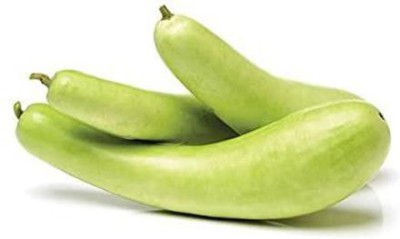 VibeX ® RXI-268 Bottle Gourd Long Organic F1 Hybrid Seeds Seed(50 per packet)