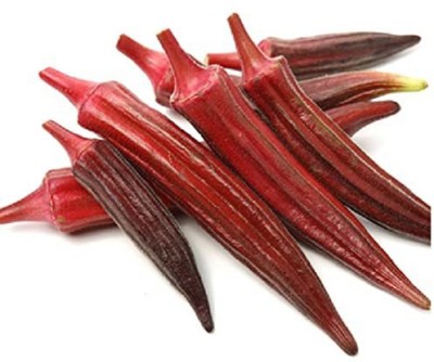 KANAYA Red Ladies Finger, Bhindi-Okra Seed(20 per packet)