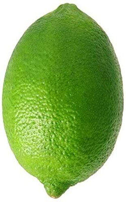 WILLVINE Tropical Fruit Meyer Lemon Dwarf Citrus Seed-[125 Seeds] Seed(125 per packet)