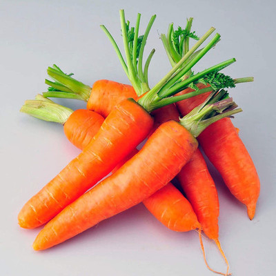 CYBEXIS Home Garden Décor Carrot Seeds 1000 Seeds Seed(1000 per packet)