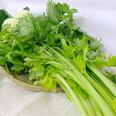 VibeX KGF -88 - Celery Utah Tall - (2250 Seeds) Seed(2250 per packet)