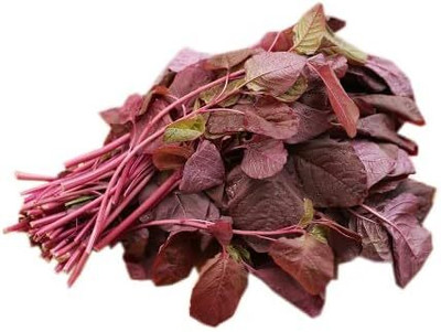 Qualtivate PUA-2A Organic Red Amaranth Seeds Seed(300 per packet)