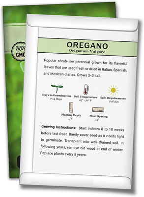 CYBEXIS XL-80 - Italian Oregano - (150 Seeds) Seed(150 per packet)