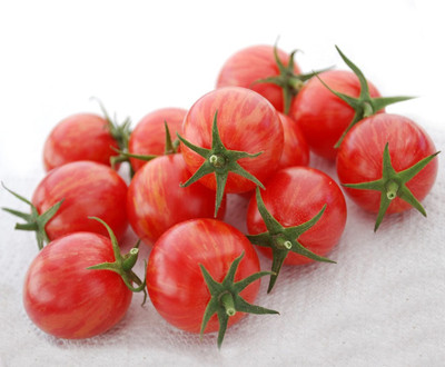 VRAKSHA Tomato Seed(300 per packet)