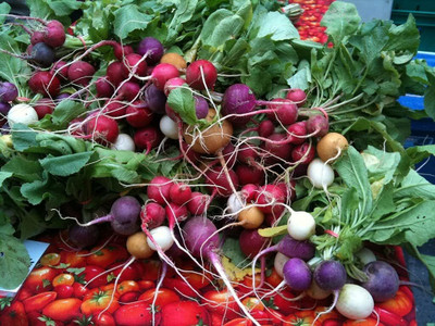 Qualtivate HUA-2A F1 Hybrid Radish Seeds Seed(300 per packet)