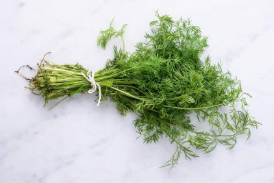 Aywal Soya Saag Dill Culinary Herb Organic Green Dill/Soya Herb Plant Seed(450 per packet)