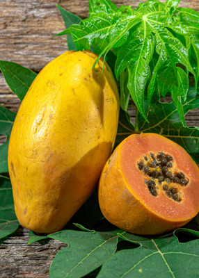 Flipkart SmartBuy Papaya Fruit Seed(20 per packet)