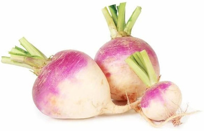 YEH White Purple Ball Turnip/Shalgam Seed(120 per packet)