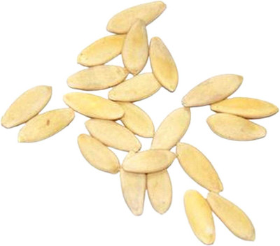KNESSiN Cucumber Seed(200 per packet)