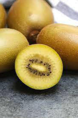 XOLDAA f1 quality hybrid kiwi fruit Seed(95 per packet)