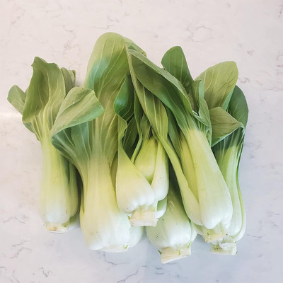 WILLVINE HAR -XII Chinese Cabbage Seeds Bok Choy [50g] Seed(15000 per packet)