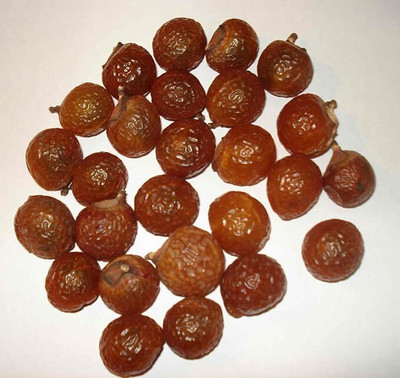 QWGPT REETHA Seed(400 g)