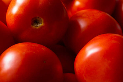 VRAKSHA Red Tomato High Quality Seed(2000 per packet)