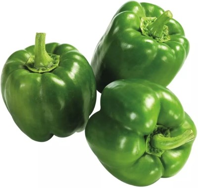 Kirat Green शिमला मिर्च Capsicum/Shimla Mirch Seed(100 per packet)