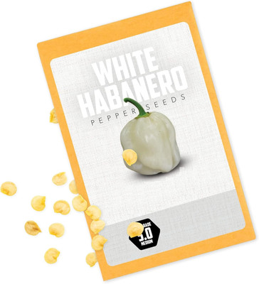 Biosnyg Hybrid White Habanero Pepper Seeds For Kitchen Gardening-(2000 Seeds) Seed(2000 per packet)