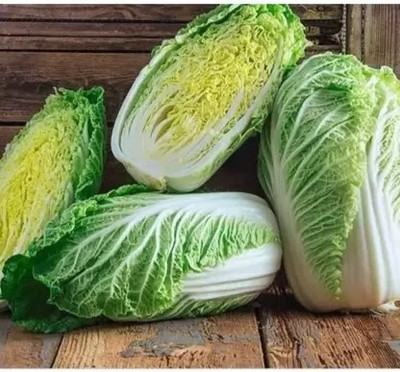 MAA Chinese Cabbage, Napa Seed(95 per packet)