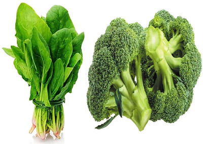 CYBEXIS Combo of Broccoli and Palak Seed(10 g)