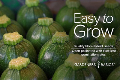 CYBEXIS GUA-83 - Round Zucchini for Planting - (75 Seeds) Seed(75 per packet)