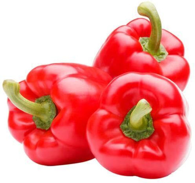 CRGO CAPSICUM , SHIMLA MIRCH Seed(125 per packet)