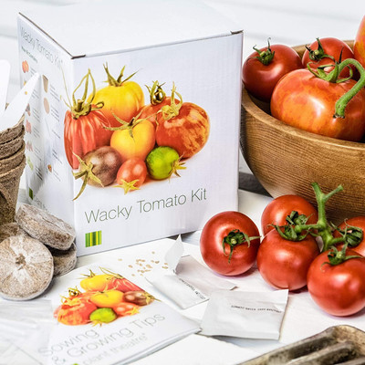 VibeX ™ VXI-295-Imported Tomato Growing Kit Seed(30 per packet)