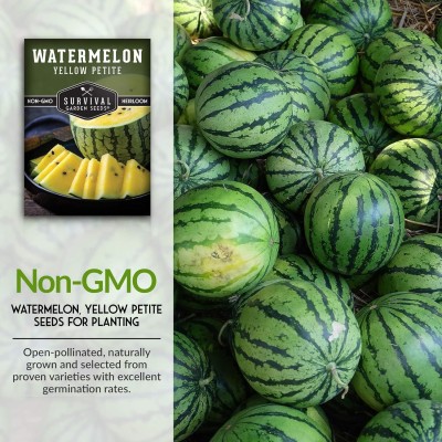 Qualtivate FXL-5AT Yellow Petite Watermelon Seed Seed(100 per packet)