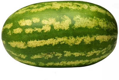EMKOT SWEET JUICY YELLOW WATERMELON Seed(50 per packet)