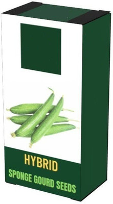 CYBEXIS VVI-72 - Sponge Gourd (Tori) - (100 Seeds) Seed(100 per packet)