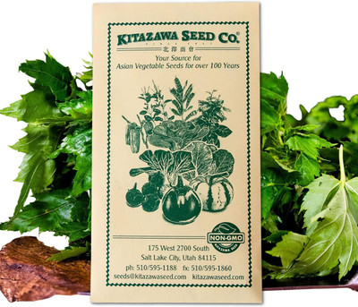 Qualtivate HUA-3A Egyptian Spinach - Molokhia Seed(100 per packet)
