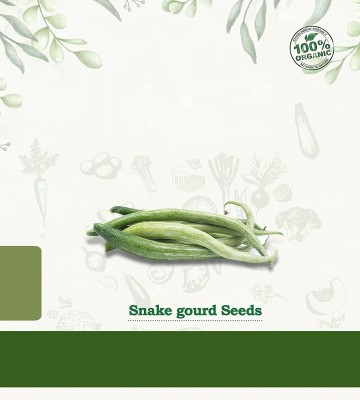 Qualtivate PUAS-4A Snake Gourd Seeds, chichinda Seed(25 per packet)