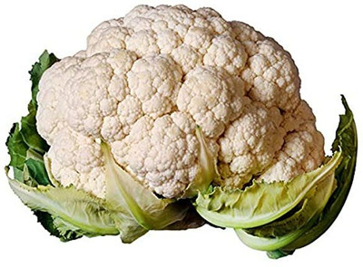 CYBEXIS Self-Blanche Cauliflower Variety2000 Seeds Seed(2000 per packet)