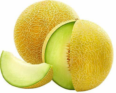 VibeX XLL-69 - Natural Yellow Muskmelon - (450 Seeds) Seed(450 per packet)