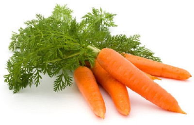 ZIFR Orange Carrot/Gaajar Gardening Seed(500 per packet)