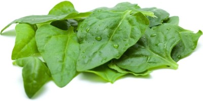 KNESSiN F-1 New Zealand Spinach Seeds - Tetragonia expansa Seed(200 per packet)