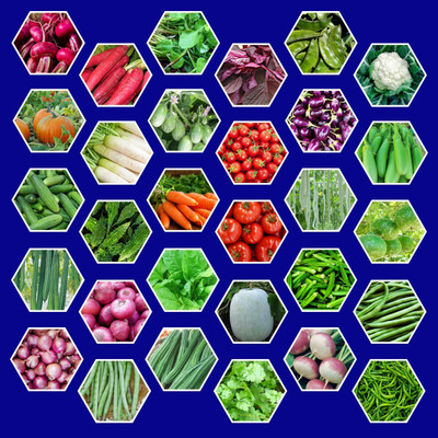 Nelgates Vegetable seeds Seed(30 per packet)