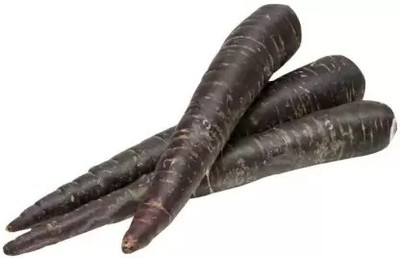 MAA Carrot Black, Gajar Seed(37 per packet)