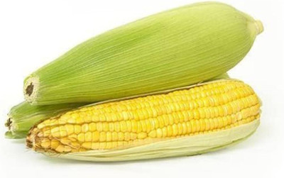 LPR BUTTA , SWEET CORN Seed(200 per packet)