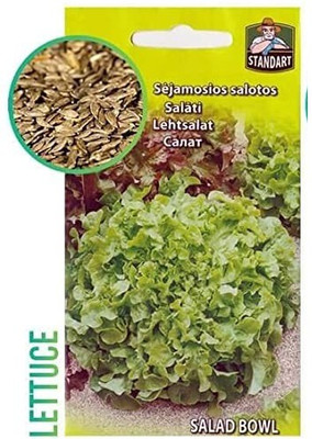 CYBEXIS Imported F1 Hybrid Lettuce Seeds4000 Seeds Seed(4000 per packet)