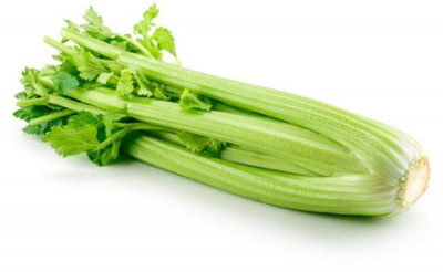 ENTENT Celery Seeds Branch - Vegetable Vegetable Seed(80 per packet)