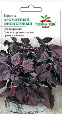 WILLVINE Basil Purple-[1000 Seeds] Seed(1000 per packet)