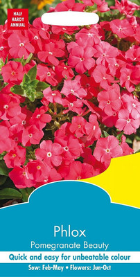 CYBEXIS Flower - Phlox - Pomegranate Beauty Seed(50 per packet)