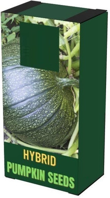 Qualtivate ICRA-3A PUMPKIN/KADDU/SEETAFAL SEEDS Seed(50 per packet)