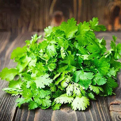 CYBEXIS Hardy Multicut Coriander Seeds700 Seeds Seed(700 per packet)